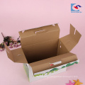 custom corrugated fruit apple packaging gift box